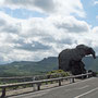 Rocher de l'éléphant : roche en trachyte avec cavités aménagées en tombeaux