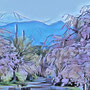 日中線枝垂れ桜