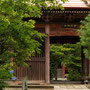 2026/６月 印西市松虫寺  