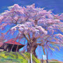 上石の枝垂れ桜　4月