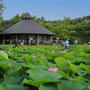 2022年6月 千葉公園