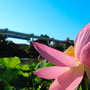 2022年6月 千葉公園