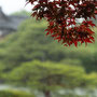 2026年4月 平安神宮神苑