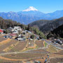 平林の棚田　2月