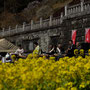 2026年2月 成田山公園