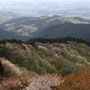 2026/4月 栃木県御亭山