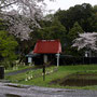 2024年4月 印西市結縁寺
