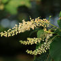 2025年6月　北総花の丘公園
