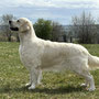 Lucy