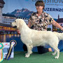 Luzern 2022