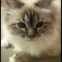 Molly