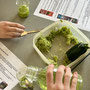 Extraktion von DNA aus Zucchini-Zellen