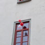 Das Eierexperiment
