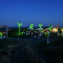 Wine Summer Lounge am Weinweg Langenlois © Attila Molnár