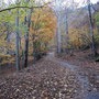 秋深まる湖畔の道