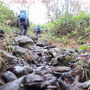 昨日の雨で滑る石とぬかるみの登山道のため慎重に登らなきゃ・・・