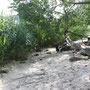 Schleistrand bei Lindaunis