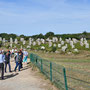 Quelques menhirs