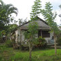 <font size="+2"><b>ausserhalb Bahia Honda, an der Strasse in die Berge, 