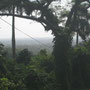 <font size="+2"><b>Ausblick hinunter in die Ebene