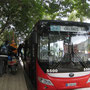 <font size="+2"><b>Cyclobus bringt die Velos durch den Tunnel nach Havanna