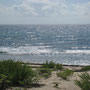 <font size="+2"><b>das Meer ist bewegt