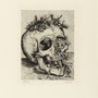 Crâne