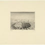 Cratère et fleurs