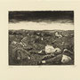 9-un soir sur la plaine de Wijtschaete, novembre 1917
