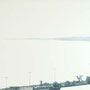 bird eyes No.3 / 81×130cm / 2008