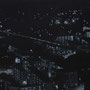 Stars on the ground No.3 / 91×117cm / 2009