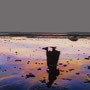 The world turns over No.74/ 61×45.5cm / 2022