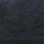 Stars on the ground No.7 / 90×146cm / 2011