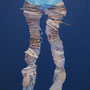 WATERING No.22 / 73×53cm / 2022