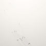 bird eyes No.4 / 117×100cm / 2011