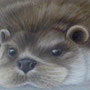 Megan Attwell - "Otter" - £50