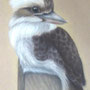 Megan Attwell - "Kookaburra" - £50