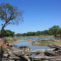 der Limpopo ... Grenzfluß zwischen Botswana und Südafrika