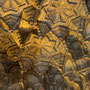 Palermo, Normands' Palace, Palatine Chapel, celling details, Sicily - Italy - 