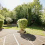 Blick in den Garten
