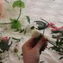 Atelier DIY création d'une couronne de fleurs fraîches