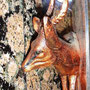 Hermosa placa de cobre con el altorrelieve de medio bulto de una gacela saltarina