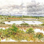 Extrait du dépliant consacré à la réserve naturelle de Séné (Morbihan) (Réserves Naturelles de France)