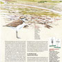 Terre Sauvage, n° 267, 2011