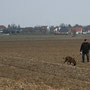 Boy von der Katzenhecke - IPO-FH 1.Tag