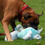 Brisby hat den Blauen Drachen erlegt :-)