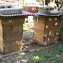 ニホンミツバチ巣箱