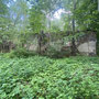 Rogdanischki - Rokiskeliai, Kowno - Litauen (2023)
