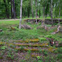 Reste der Ruine des Schlosses Kokenhusen - Koknese, Livland, Lettland (2016)