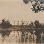 Ilsensee - Ilzes Muiza, Kurland - Lettland (1918)